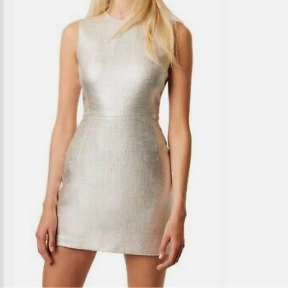 French Connection Dresses & Skirts - ❤️NWOT Gorgeous Silver metallic dress